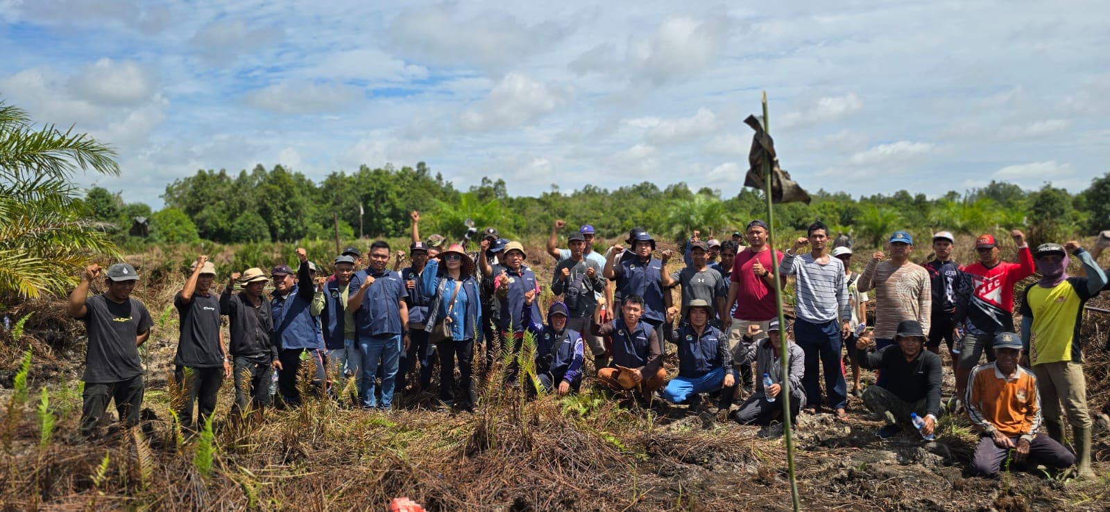 Perkebunan Sawit Gallery 5